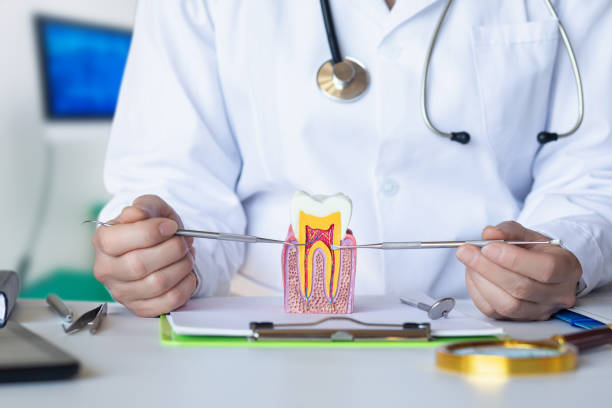 Best Emergency Denture Repair in Longtown, OK